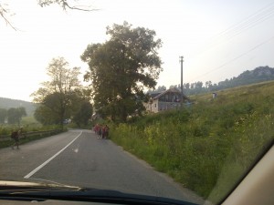 Romáci radostne tiahnu dedinou